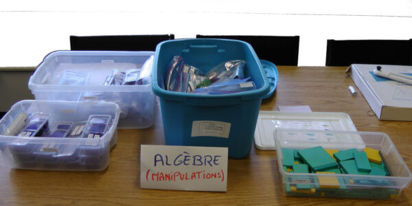 Tuiles algébriques