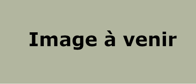 Image à venir (pas d'image)